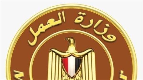 تفاصيل مبادرات وزارة العمل لتدريب العاملين وتأهيلهم